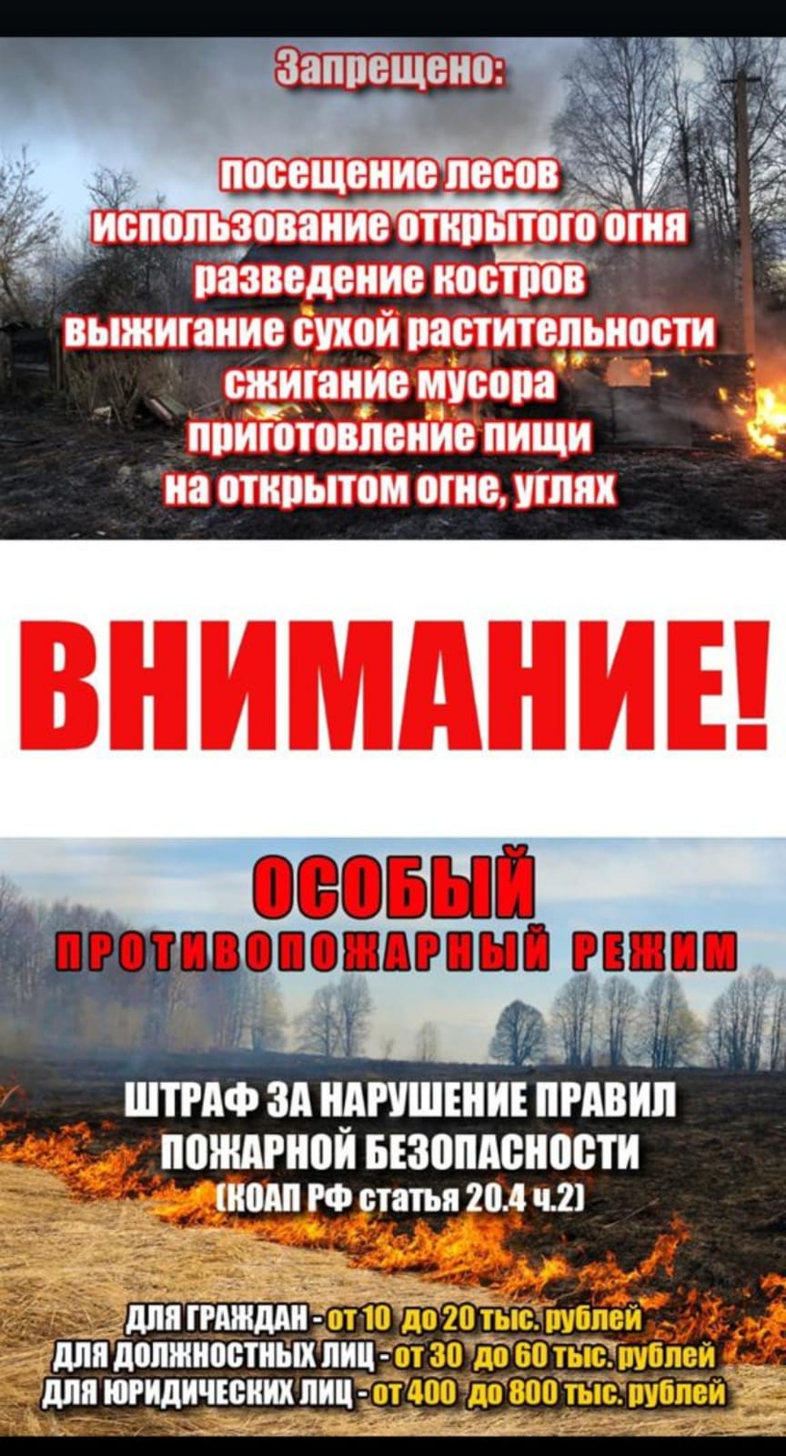 whatsapp_image_2025-04-25_at_12.32.42.jpeg